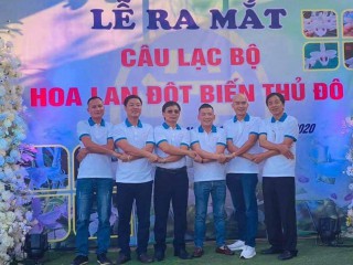 Ra mắt CLB Lan Var Thủ đô